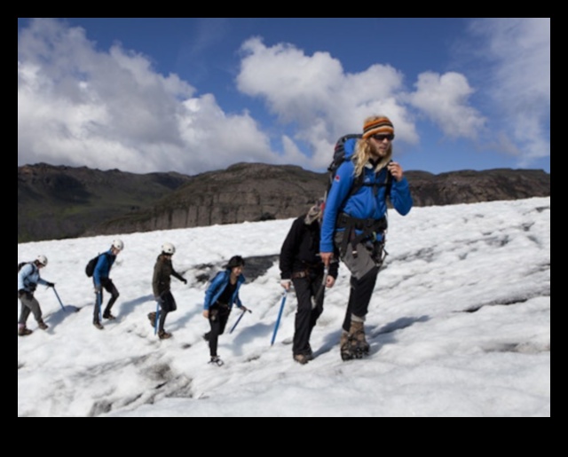 Arctic Adventures: Buzlu Vahşi Doğayı Keşfetmek