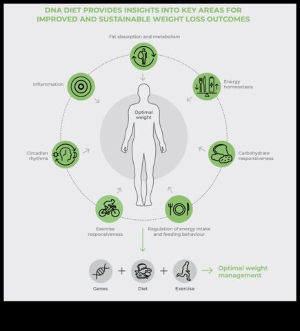 DNA Diyet Planı Kilo Kaybı ve Optimum Sağlık için Genetik Potansiyelinizi Açığa Çıkarır
